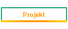 Projekt